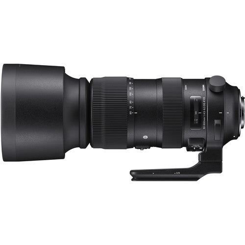 Sigma 60-600mm f/4.5-6.3 DG OS HSM Sports Lens Nikon F